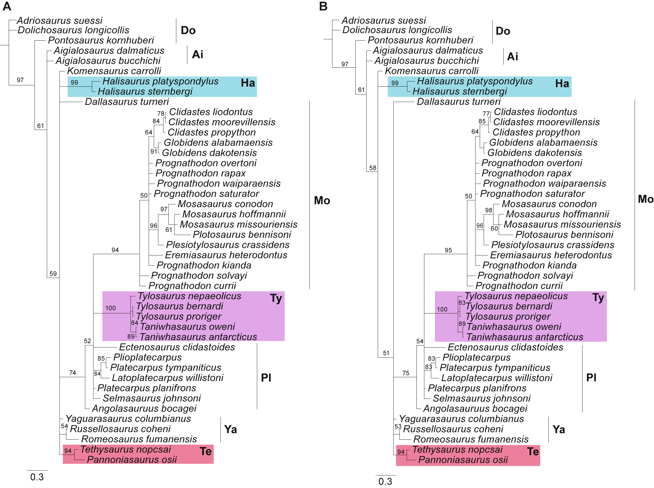 Fig 2. Bayesian majority rule consensus tree drawn from 15,002 posterior trees (lognormal prior on rate variation across characters).