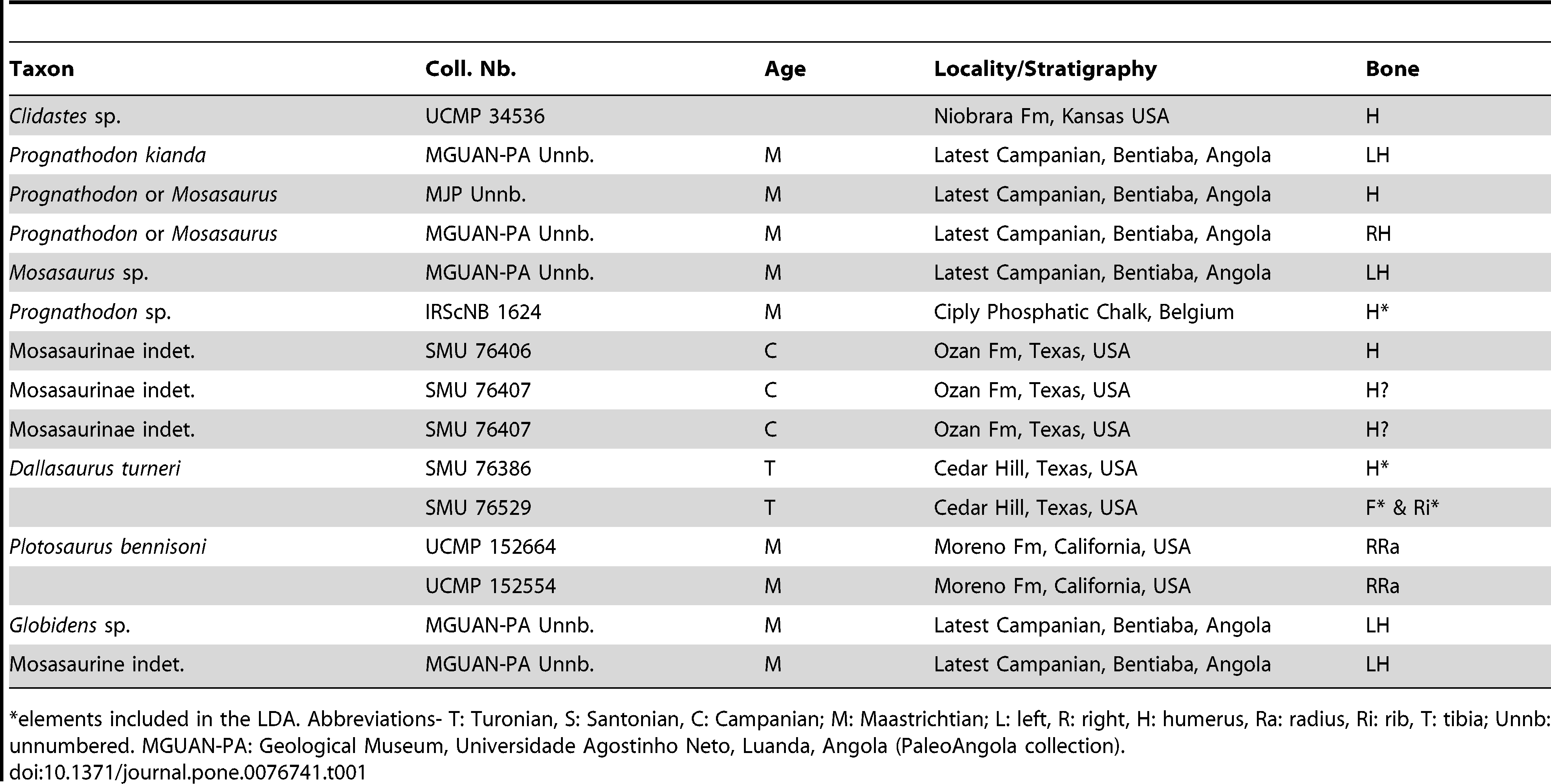 Table 1. List of the mosasauroid long bones analyzed in this study.