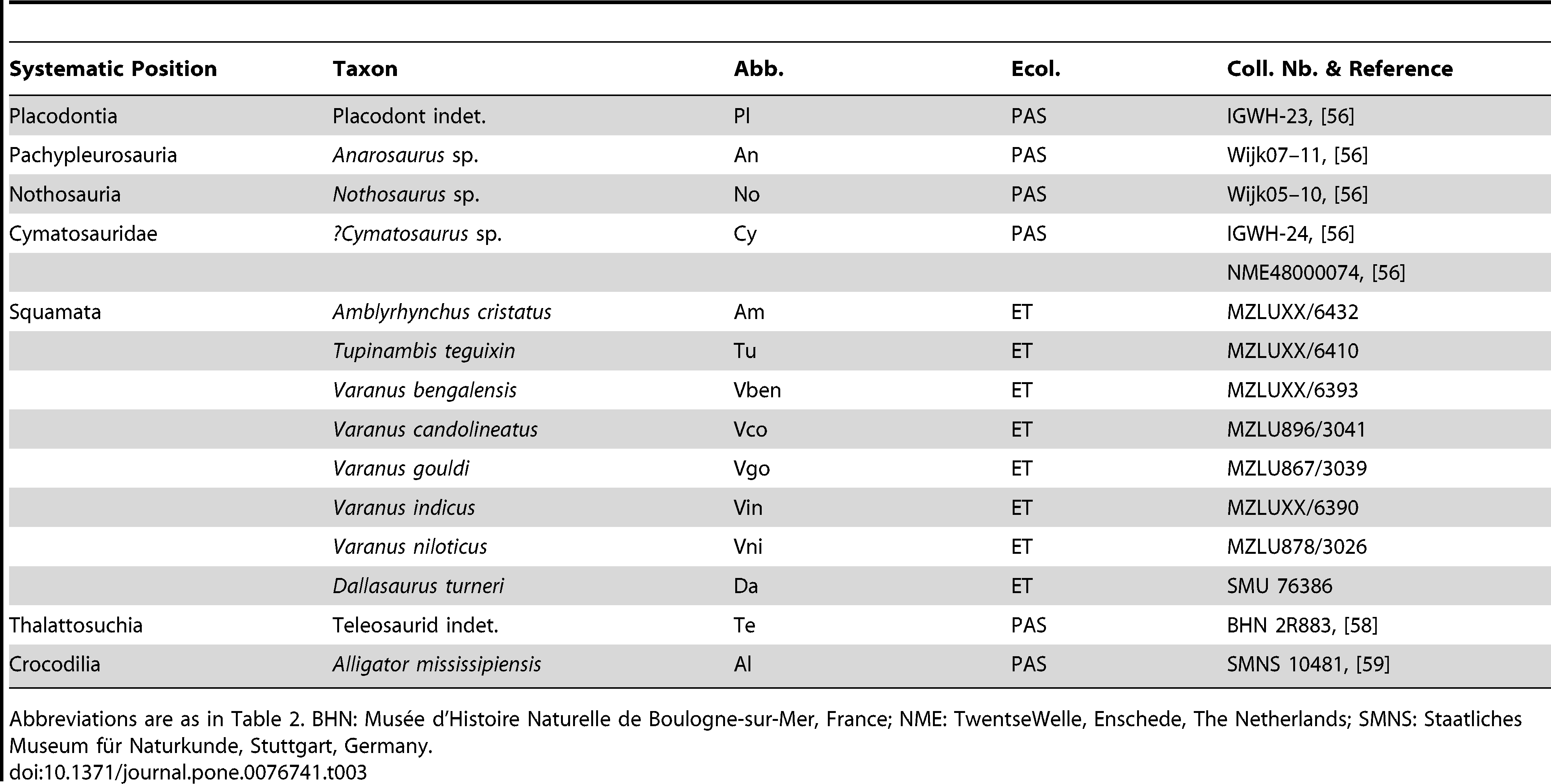 Table 3. Non-mosasauroid femora analyzed.