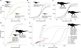 Fig. 4: Modelled growth trajectories of Nanotyrannus and Tyrannosaurus using longitudinal femoral circumference data.