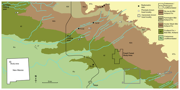 Figure 1: Geological map of the southeast San Juan Basin showing localities of radiometric dates and important fossil specimens mentioned in the text. Collection localities; (A) SMP VP-1500, Navajoceratops sullivani , holotype; (B) NMMNH P-27486, Terminocavus sealeyi , holotype; (C) NMMNH P-33906, Denazin chasmosaurine; (D) NMMNH P-37880, c.f. Pentaceratops sternbergii , parietal fragment; (E) UKVP 16100, c.f. P. sternbergii , complete skull; (F) MNA Pl.1747, c.f. P. sternbergii , complete skull