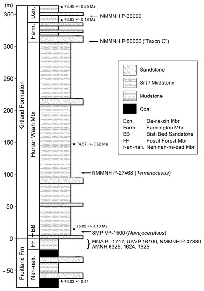 Figure 2: Generalized stratigraphic column of Fruitland and Kirtland Formations with radiometric dates and fossil occurrences. Specimens mentioned in the main text or supporting information: Pentaceratops sternbergii holotype, AMNH 6325; cf. P. sternbergii , AMNH 1624, 1625; aff. Pentaceratops n. sp., MNA Pl.1747, UKVP 16100, NMMNH P-37880; Navajoceratops sullivani holotype SMP VP-1500; Terminocavus sealeyi holotype, NMMNH P-27468; Chasmosaurinae sp., NMMNH P-50000; “Taxon C”, NMMNH P-33906. Rad