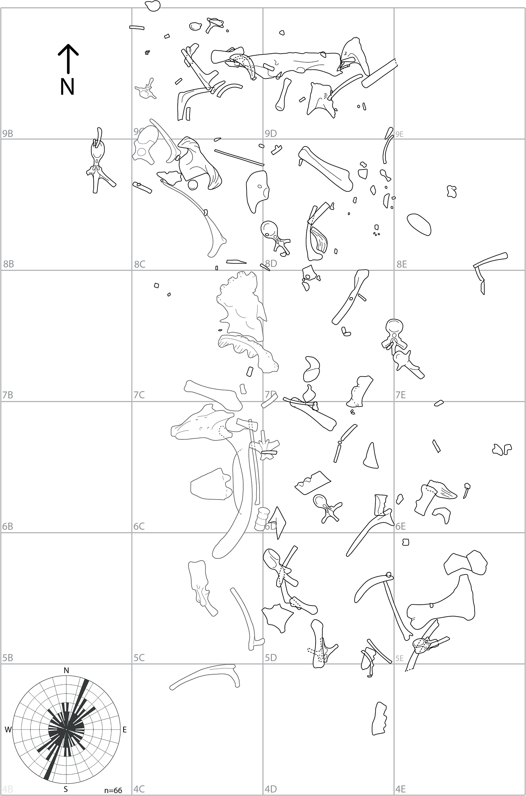 Fig 2. Quarry map for the South Side Ceratopsian bonebed.