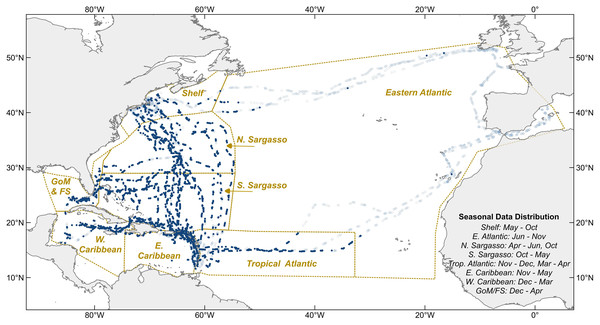 Figure 2: Hourly observation locations within eight sampling regions. Light blue circles indicate where holopelagic Sargassum was absent, navy circles where it was present. Dotted lines are borders between oceanographic regions. Sampling months for each region noted at lower right. GoM, Gulf of Mexico; FS, Florida Straits; Shelf, New England Shelf. Download full-size image DOI: 10.7717/peerj.14079/fig-2