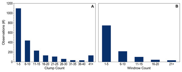 Figure 3: Holopelagic Sargassum counts. Number of observations within each count range for dispersed (A) clumps and (B) windrows. Observations without pelagic holopelagic Sargassum not shown. Download full-size image DOI: 10.7717/peerj.14079/fig-3