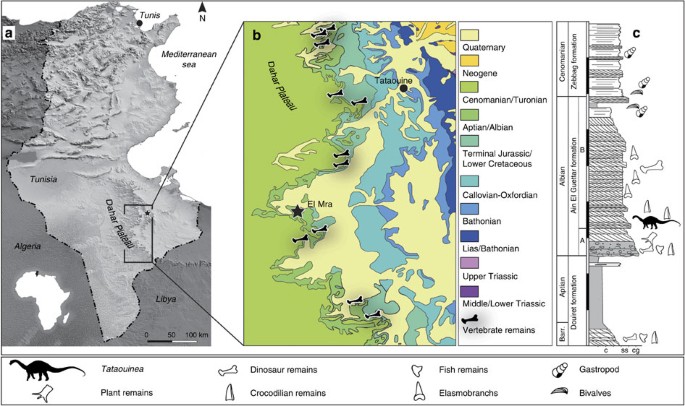 Figure 1: Geological setting.