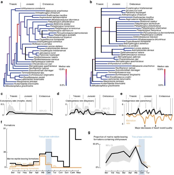 Figure 3: Evolution and extinction rates for parvipelvian ichthyosaurs.