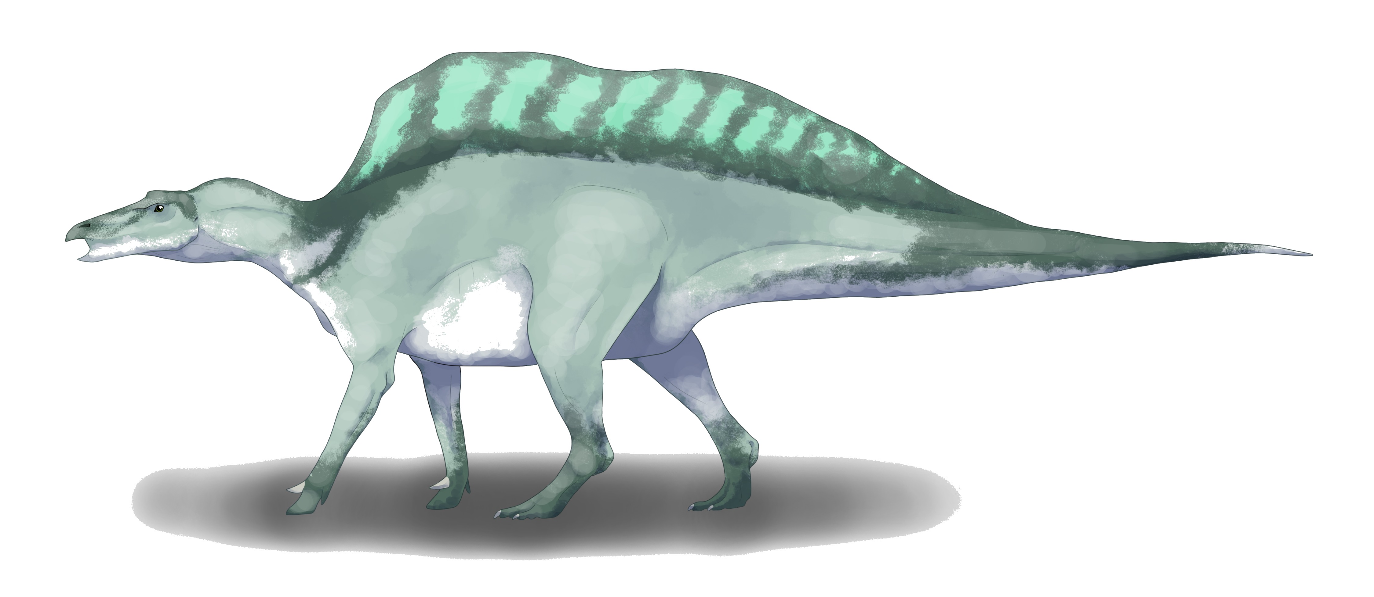 Ouranosaurus nigeriensis