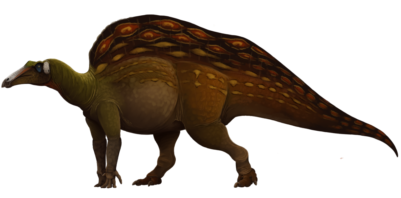 Ouranosaurus nigeriensis