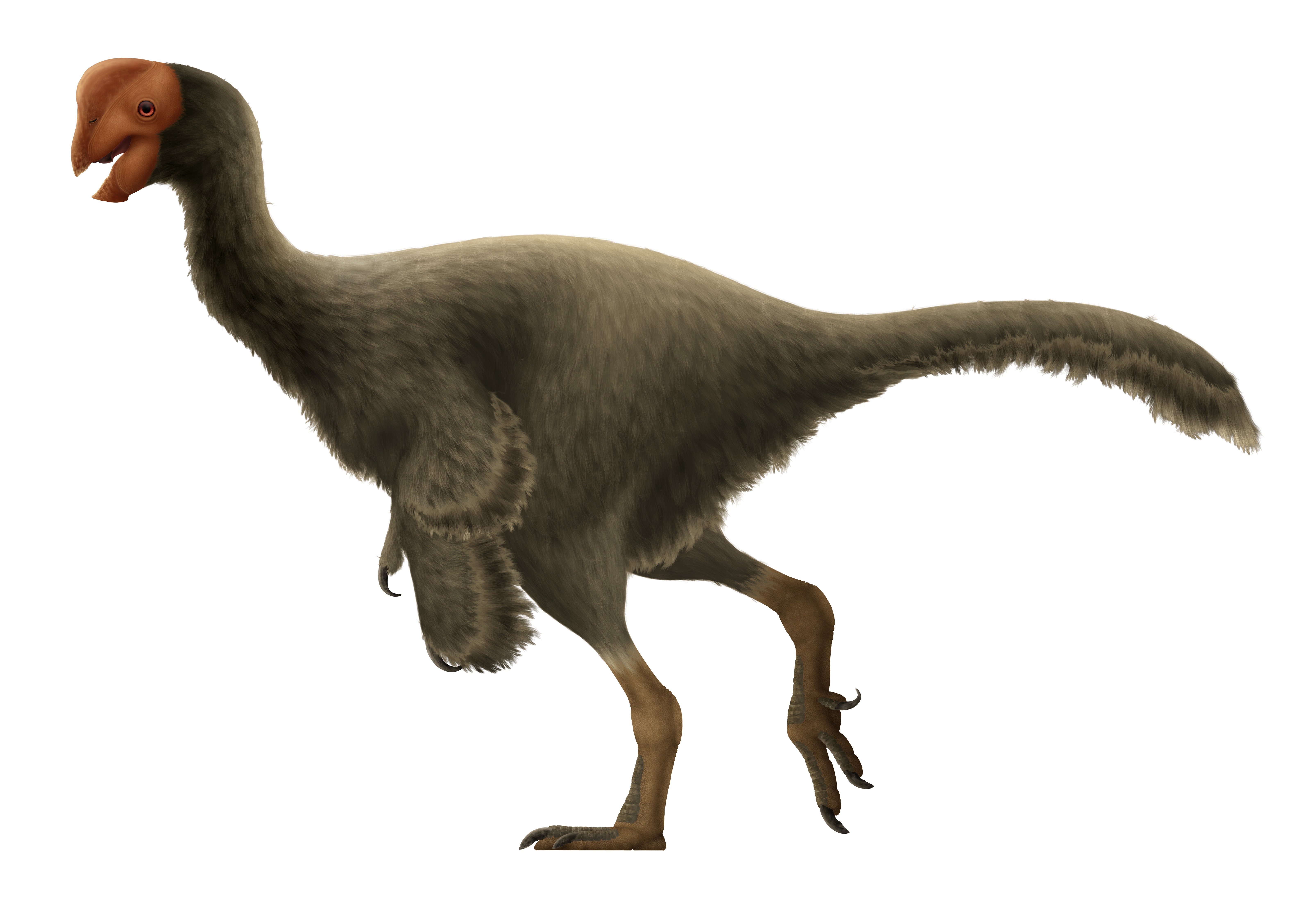 Oviraptor philoceratops