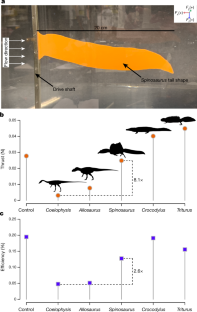 Fig. 3: Comparative tail swimming performance.