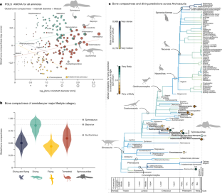 Fig. 2: Relationship between midshaft density of femur, diameter and major lifestyle among amniotes including Spinosauridae.