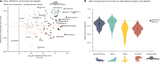 Fig. 3: Relationship between dorsal ribs density, diameter and major lifestyle among amniotes including Spinosauridae.
