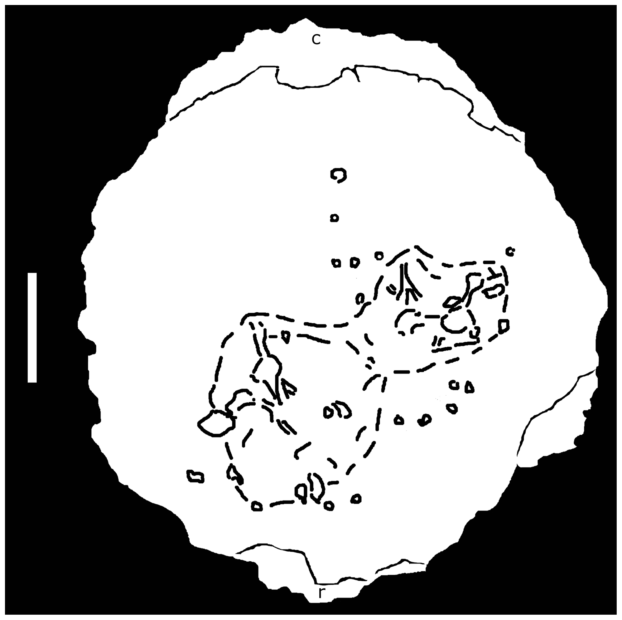 Figure 2. An index drawing of the distribution of lesions.