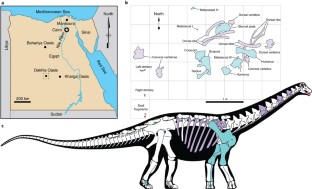 Fig. 1: Location, quarry map and skeletal reconstruction of Mansourasaurus shahinae gen. et sp. nov. (MUVP 200).