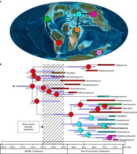 Fig. 3: Phylogenetic, temporal and palaeobiogeographic context of Mansourasaurus shahinae gen et sp. nov. and other saltasaurid titanosaurian sauropod dinosaurs.