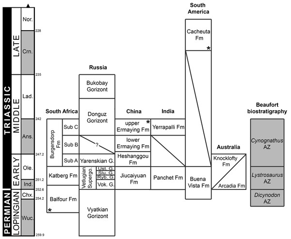 Figure 4: Chronostratigraphic diagram of proterosuchian-bearing units (sensu Ezcurra, Butler & Gower, 2013 ; Ezcurra et al., 2015 ). Ages of South African units based on Rubidge (2005) and Rubidge et al. (2013) ; Russian units based on Newell et al. (2010) and Newell et al. (2012) ; Chinese and Indian units based on Lucas (2010) and Liu, Li & Li (2013) ; South American units based on Piñeiro et al. (2003) and Spalletti, Fanning & Rapela (2008) ; and Australian units based on Ezcurra (2014) and W