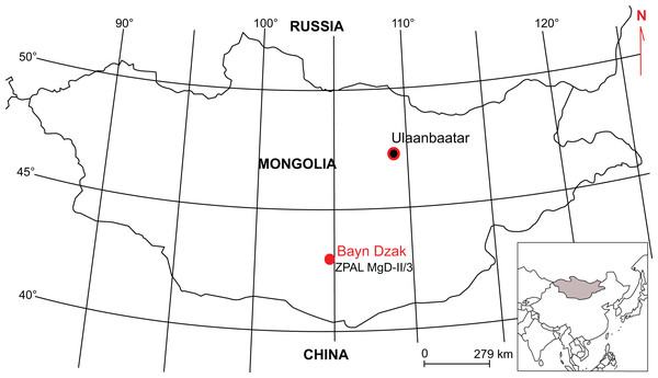 Figure 1: Map indicating locality of origin of ZPAL MgD-II/3 skeleton. Download full-size image DOI: 10.7717/peerj.7324/fig-1