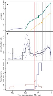 Figure 2: Temporal patterns of mammalian diversification.