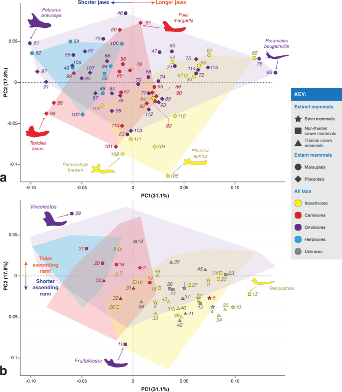 Fig. 3: Scatter plots of the principal component analysis (PCA) results (PC1 vs. PC2).
