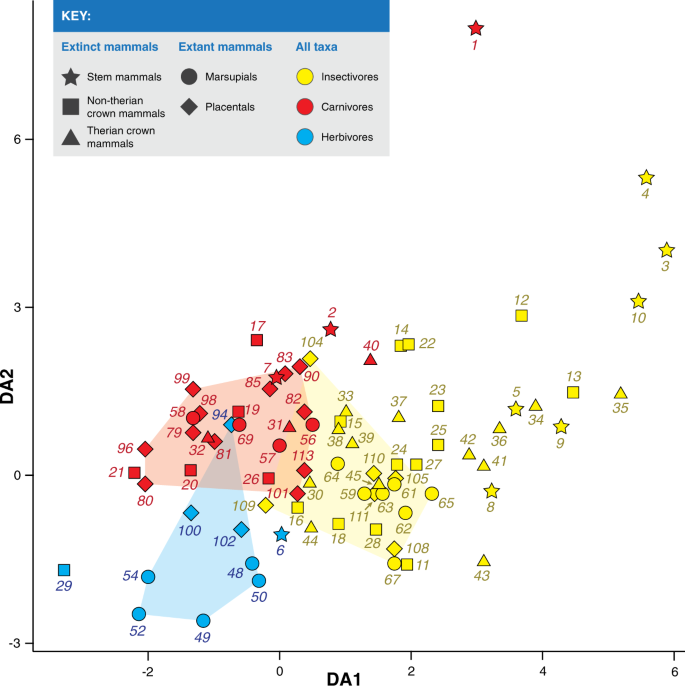 Fig. 4: Phylogenetic flexible discriminant analysis results, showing discriminant axis 1 (DA1) and two (DA2), of all taxa in this study.