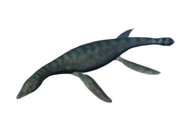 Thumbnail used in listings and cards: R. cramptoni reconstruction by Dmitry Bogdanov, one of the most widely reproduced illustrations of the species.