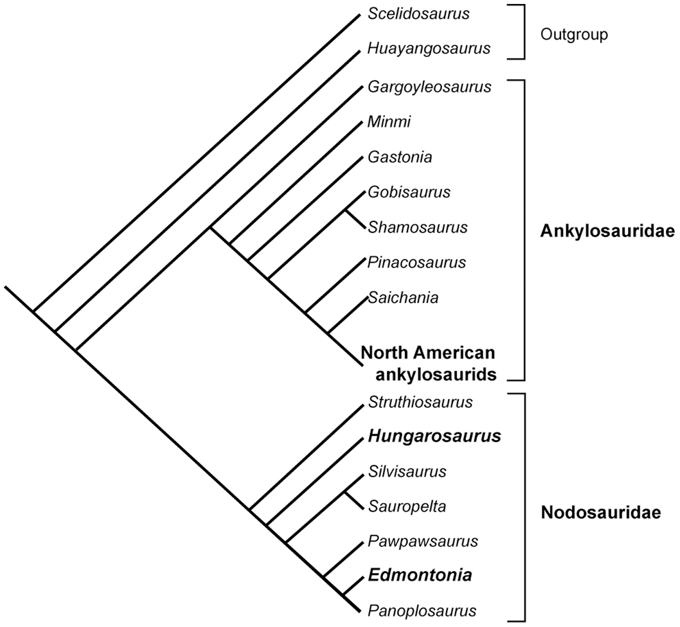 Figure 1. Phylogeny of the Ankylosauria based on Ősi and Makádi (2009).