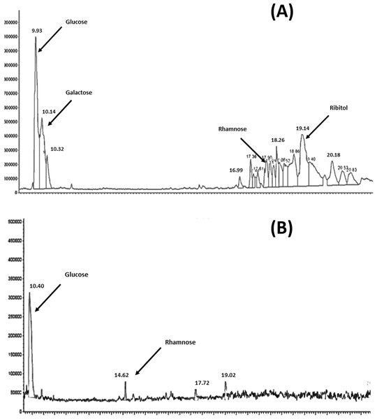 Figure 1: GC–MSD total ion chromatograms for S. pneumoniae serotype 6A/B AND 19F at the purified polysaccharides stage. (A) Complete hydrolysis down to the monosaccharide of glucose, galactose, rhamnose and ribitol was observed in case of 6A/B. (B) Hydrolysis was only down to monosaccharides of glucose and rhamnose in case of 19F. Download full-size image DOI: 10.7717/peerj.2737/fig-1