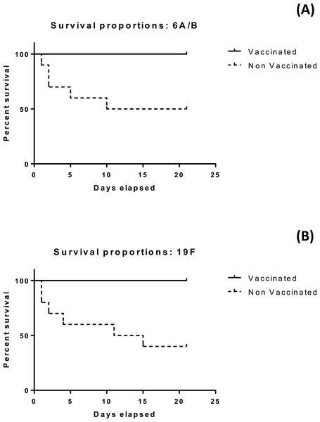 Figure 4: Kaplan Meier survival plots for mice vaccinated with (A): 6A/B, (B): 19F. In both cases, a significant difference is observed between vaccinated and non-vaccinated groups ( p < 0.05). In case of 6A/B, the p value was 0.0115 based on log-rank (Mantel–Cox) test and 0.0124 based on Gehan–Breslow–Wilcoxon test. For 19F, p value was 0.0039 based on log-rank (Mantel–Cox) test and 0.0047 based on Gehan–Breslow–Wilcoxon test. Download full-size image DOI: 10.7717/peerj.2737/fig-4