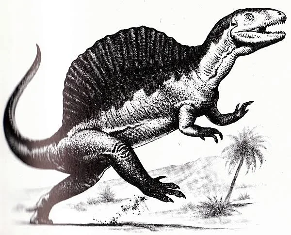 Reconstituicao de Spinosaurus em postura aquatica com a cauda em forma de remo visivel.