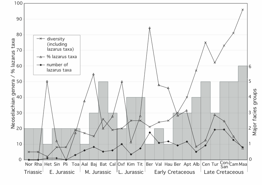 Completeness of the neoselachian fossil record as shown by number and percentage of