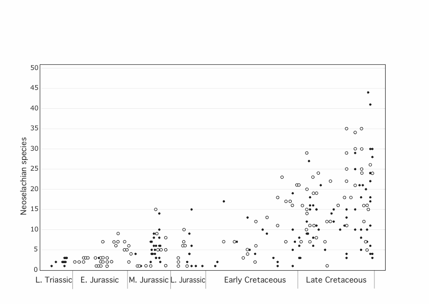 Numbers of neoselachian species recorded within published assemblages where taxa with