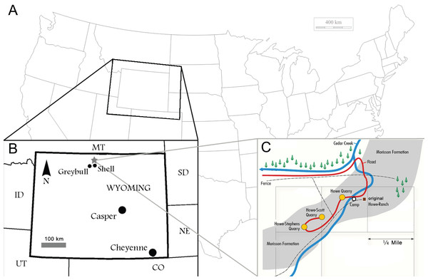 Figure 1: Locality of the Howe Ranch. The Ranch is situated in the vicinity of Shell, Wyoming (B, star), with a detailed map of the three most important sites on the Ranch (C). (B) is modified from Christiansen & Tschopp, 2010 , (C) copyright by the Sauriermuseum Aathal, modified with permission. Download full-size image DOI: 10.7717/peerj.3179/fig-1