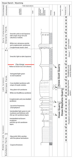 Figure 2: Stratigraphy of the Morrison Formation at Howe Ranch. The levels of the three most important quarries on the Howe Ranch. The red line marks the clay change which has been proposed as marker bed to correlate sites across the Morrison Formation. Copyright by Jacques Ayer (2005), modified with permission. Download full-size image DOI: 10.7717/peerj.3179/fig-2