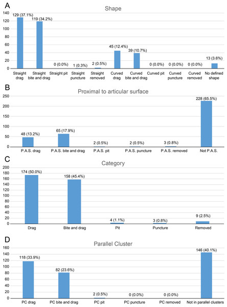 Figure 3: Charts of bite traces broken down by various categories. Charts of the bite traces on sauropod bones, in each case divided by the number of analysed bones. (A) Chart showing the number and percentage of analysed bite traces divided by their shape (straight or curved) and category (drag, bite and drag, pit, puncture, removed). (B) Chart showing the number and percentages of bite traces found on articular ends of bones vs away from the articular ends. (C) Chart of bite traces by type. (D