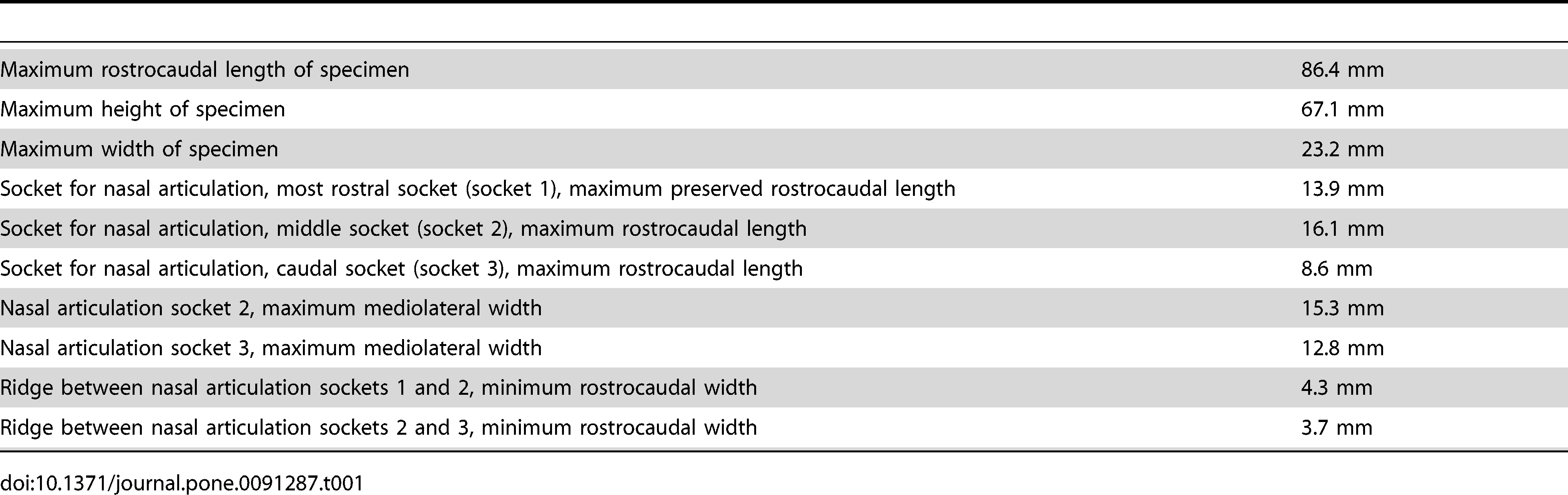 Table 1. Selected dimensions of DMNH 21461, partial maxilla.