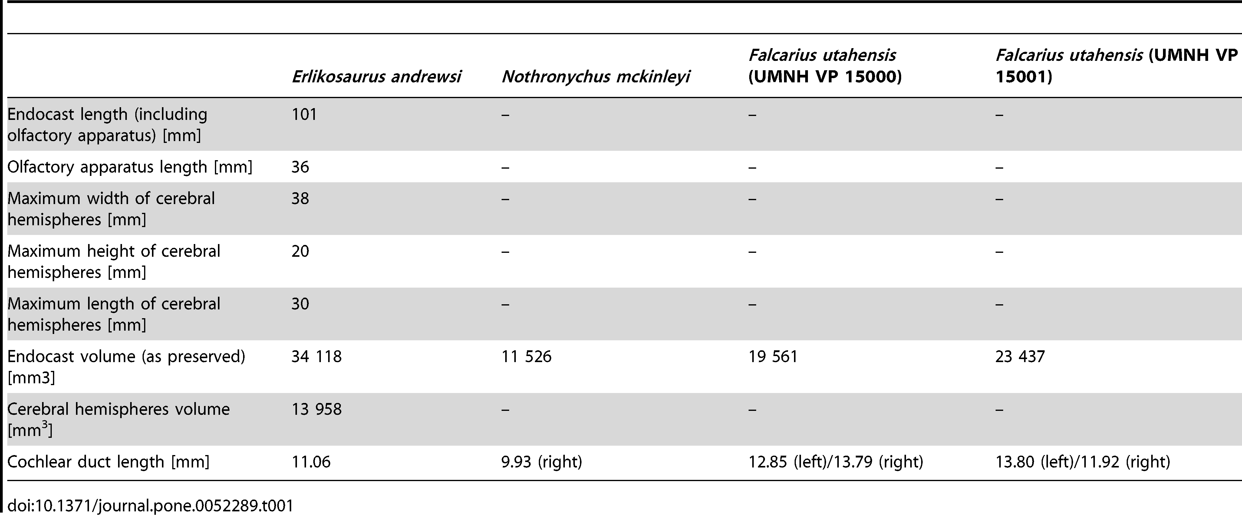 Table 1. Linear and volumetric dimensions of the discussed endocasts and endosseous labyrinths .