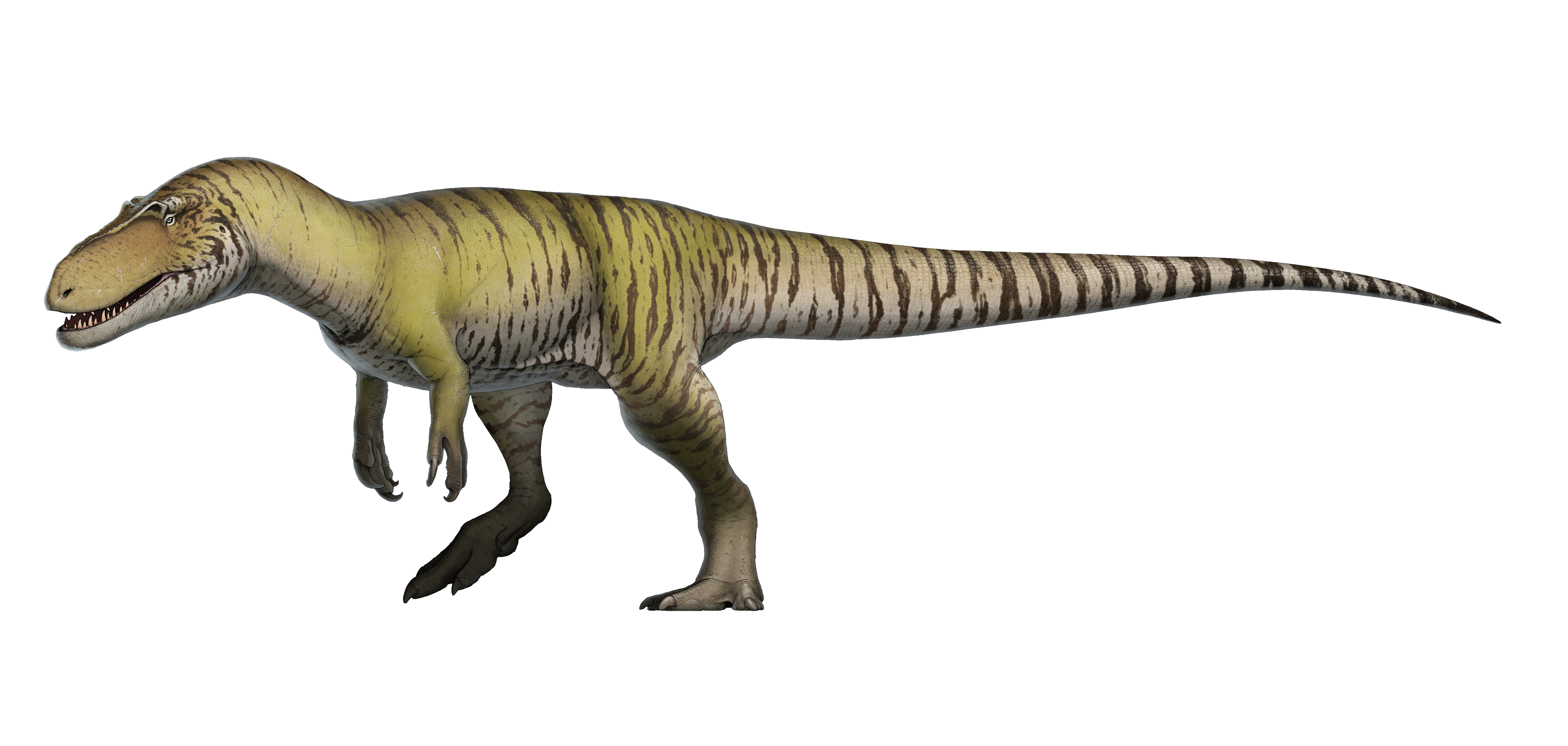 Torvosaurus tanneri