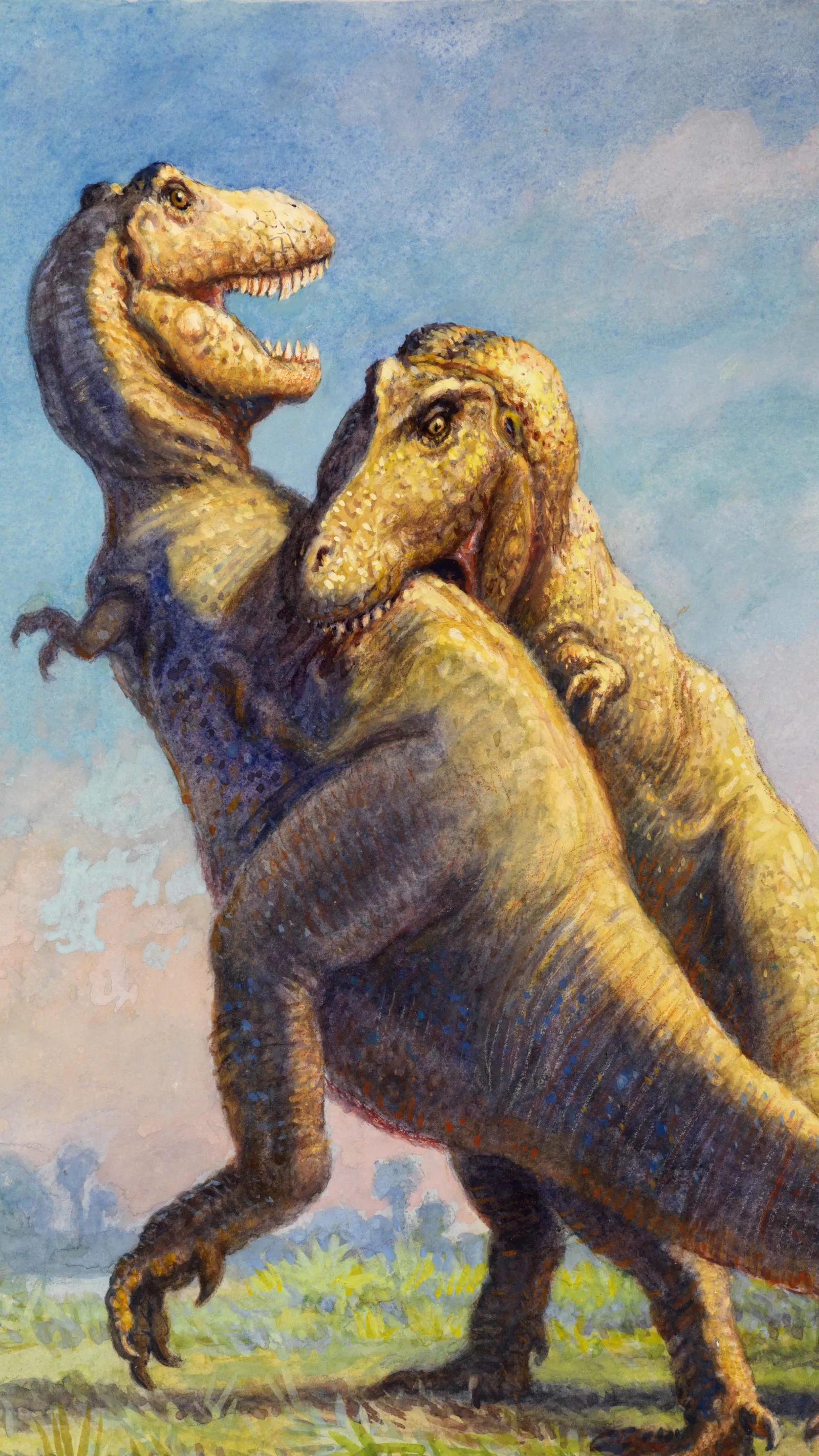 Pintura de dois Tyrannosaurus rex em comportamento social — possivelmente cortejo ou disputa territorial. Evidências fósseis sugerem comportamento social em tiranossaurídeos.