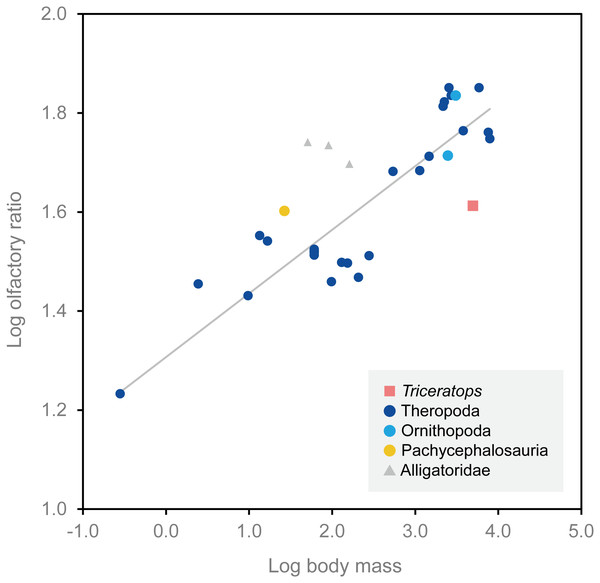 Figure 4: Relationship between olfactory ratio and body mass for selected dinosaurs. After Zelenitsky, Therrien & Kobayashi (2009) . See Table 1 for additional data for Triceratops , Corythosaurus , Hypacrosaurus and Stegoceras . Download full-size image DOI: 10.7717/peerj.9888/fig-4