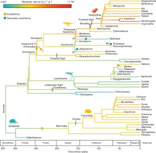 Fig. 2: Time-scaled consensus phylogeny of fossil and modern amniotes showing the evolution of metabolic rates and thermal strategies.