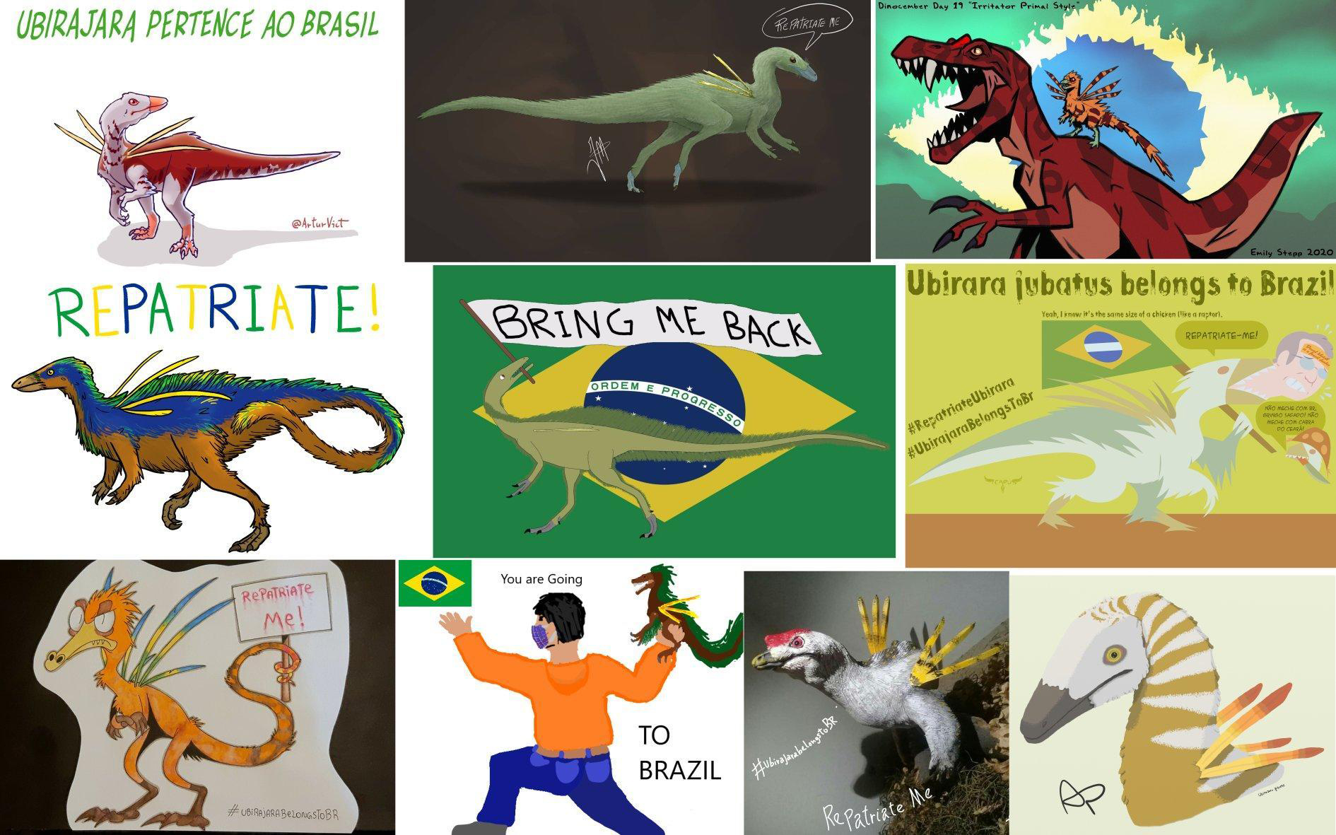 Examples of images shared with the hashtag #UbirajarabelongstoBR by Twitter users. Image credits (from left to right and top
