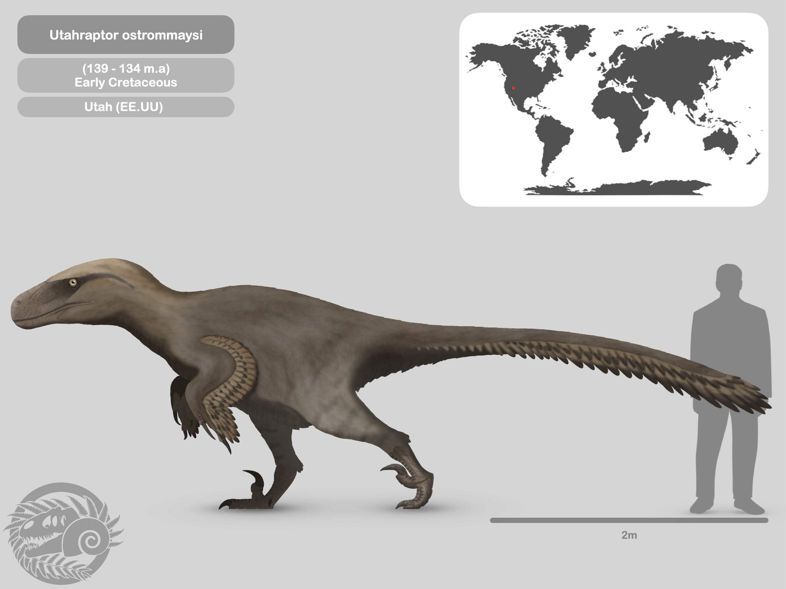 Reconstituição de Utahraptor mostrando a garra foice do segundo dedo — com até 24 cm de comprimento, era a maior garra em forma de foice de qualquer dromeossaurídeo conhecido, usada para perfurar e prender presas.