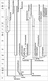Figure 2: Reduced strict consensus depicting the phylogenetic relationships of Neuquenraptor argentinus within Maniraptora.